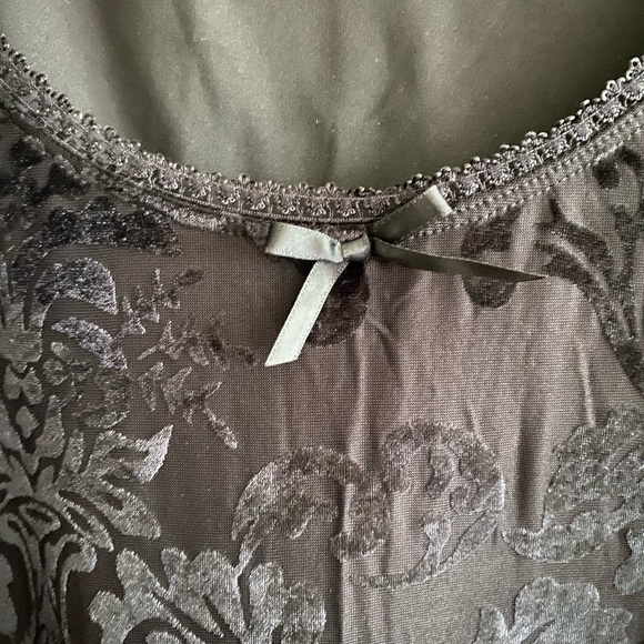 Sheer Velvet Babydoll Dress by Sugar Thrillz XXL - Picture 2 of 4